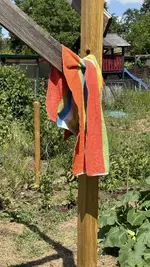 IMG_4885.jpeg