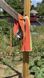 IMG_4885.jpeg