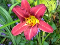 DSCN6602.JPG