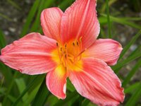 DSCN6659.JPG
