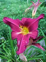 64-Autuum Wine_04.webp