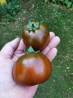 IMG_20250630_081131.jpg