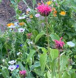 IMG_1160.jpeg