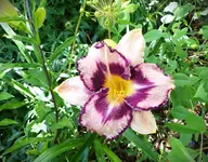 P1020222.webp