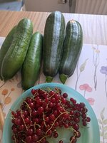 20250630_093101.jpg