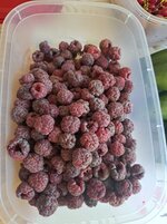 20250630_090707.jpg