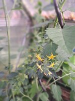 20250630_080805.jpg