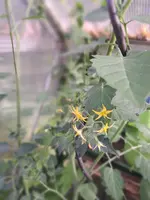 20250630_080805.webp