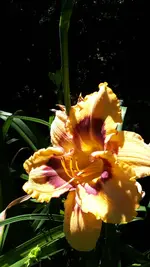 20250630_144428.webp