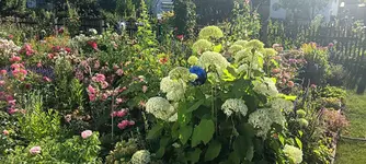 20250630_184027.webp