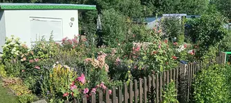 20250630_184156.webp