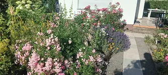 20250630_184220.webp
