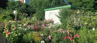 20250630_184140.webp