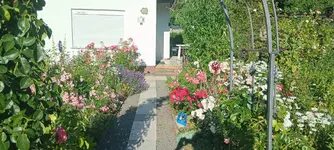 20250630_184207.webp