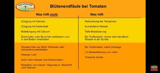 FB_IMG_1751310513323.jpg