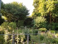 IMG_20250701_082837.jpg