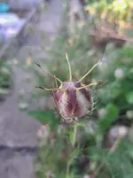 20250701_070345.webp