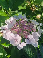 20250701_065440.webp