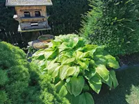 IMG_20250701_102850.webp