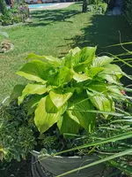 IMG_20250701_100021.webp