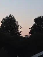 20250701_220907.webp