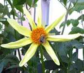 003.webp