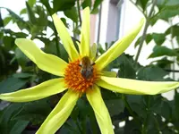 004.webp