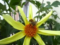 005.webp