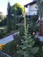 IMG_20250702_173455.webp