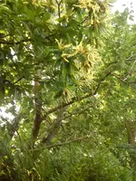 DSC08329.webp