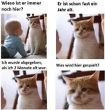 Bild.webp