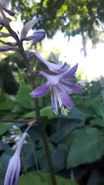 20250702_170440.webp