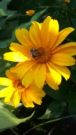20250630_194627.webp