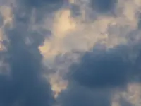049.webp
