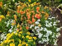 IMG_20250601_150327_1.webp