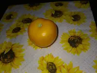 IMG_20230715_193908.webp
