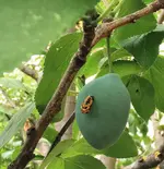 IMG_20250704_103531.webp