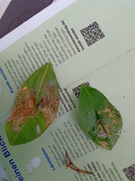 IMG_3F057BF77510-1.webp