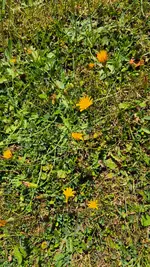 20250705_114012.webp