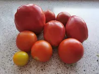 IMG_20250706_084930.webp