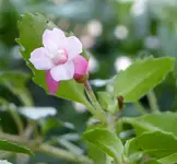 022.webp