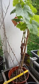 2025-07-06 18 01 33.webp
