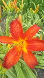 20250706_140312.webp