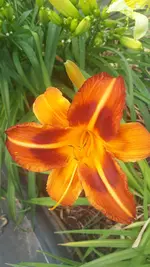 20250706_140317.webp