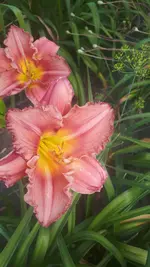 20250706_140240.webp