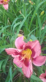 20250706_140247.webp