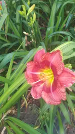 20250706_140233.webp