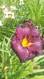 20250706_122338.webp