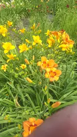 20250706_122150.webp