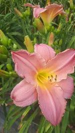 20250706_140157.webp